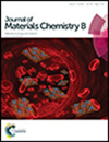 Journal of Materials Chemistry B雜志封面